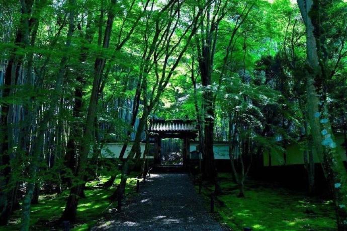 Aparthotel Kyoto-Toji House Exterior foto
